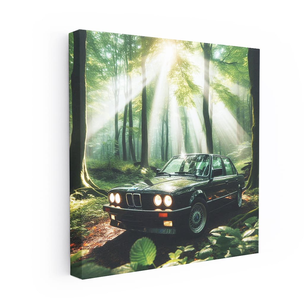 BMW E30 3 Series Amidst Nature - Classic Elegance Unleashed