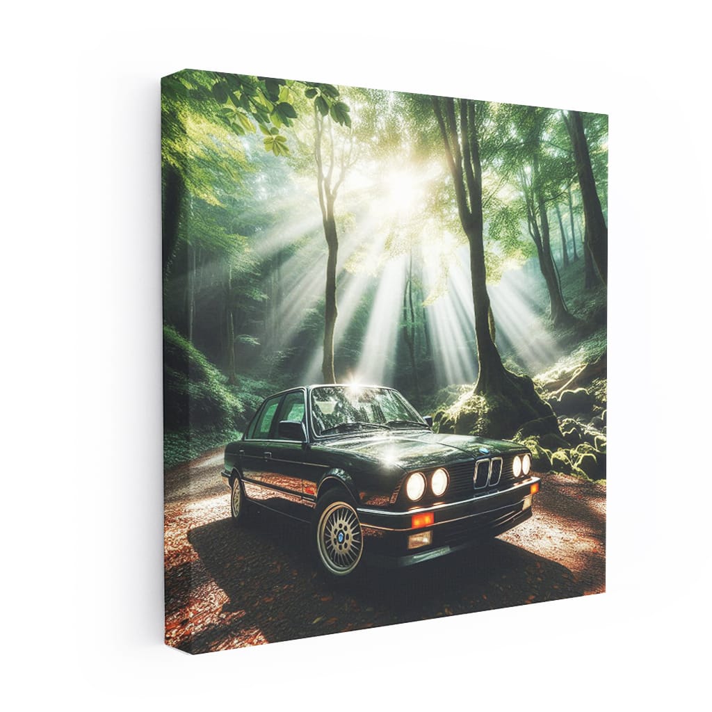 BMW E30 3 Series in Nature - Iconic Classic Drive