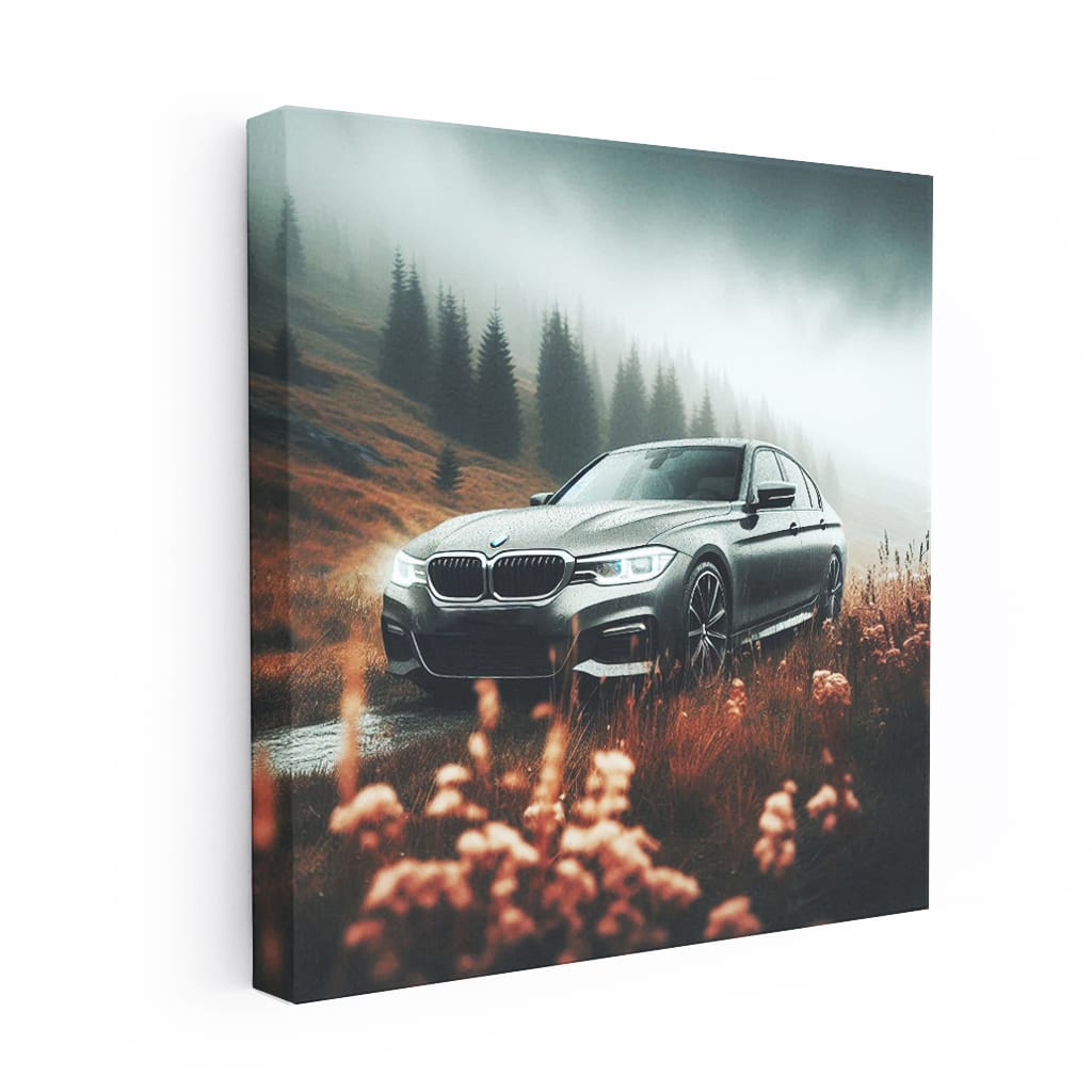 BMW 3 Series in Cloudy Skies - Elegant and Timeless Style