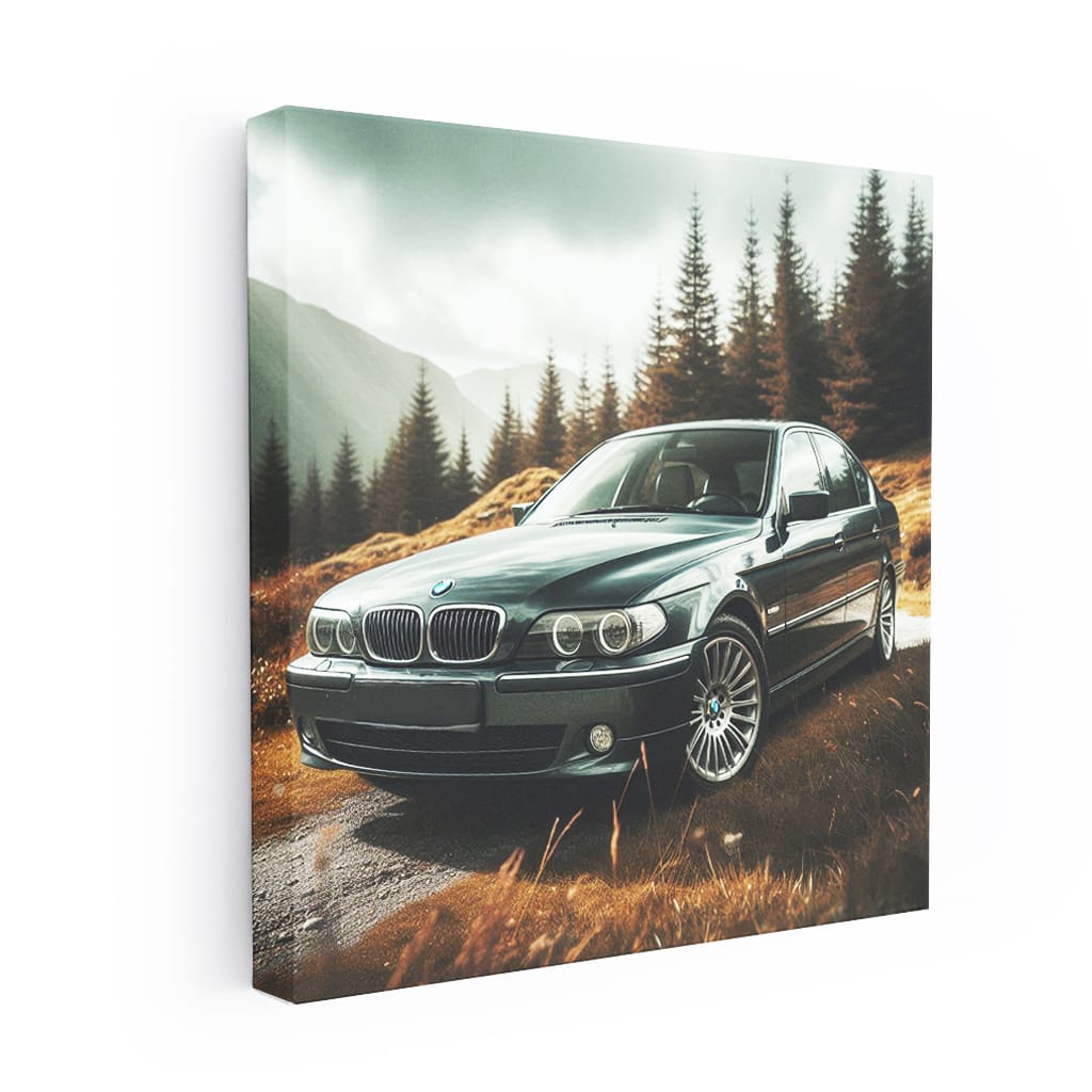 BMW E65 7 Series Nature - Luxury Redefined in Style