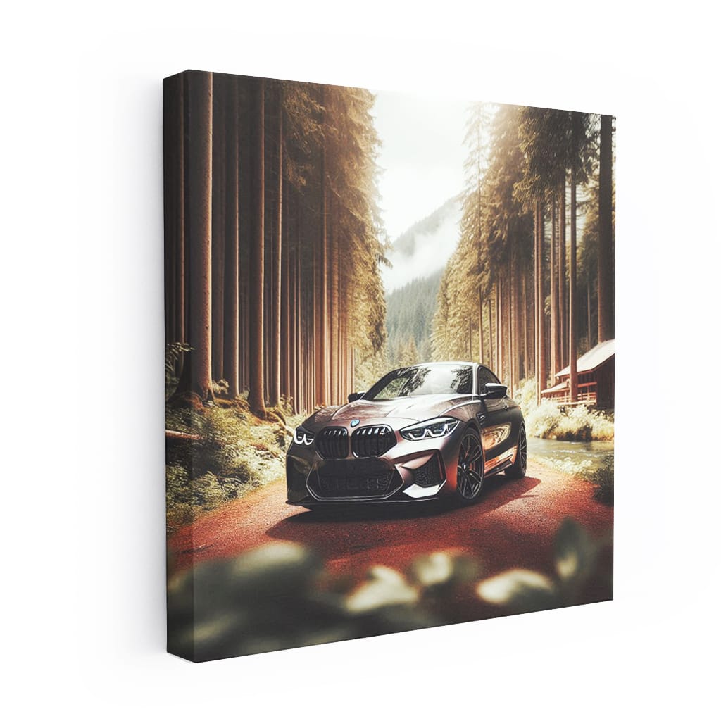 BMW M in National Park - Experience Power and Elegance