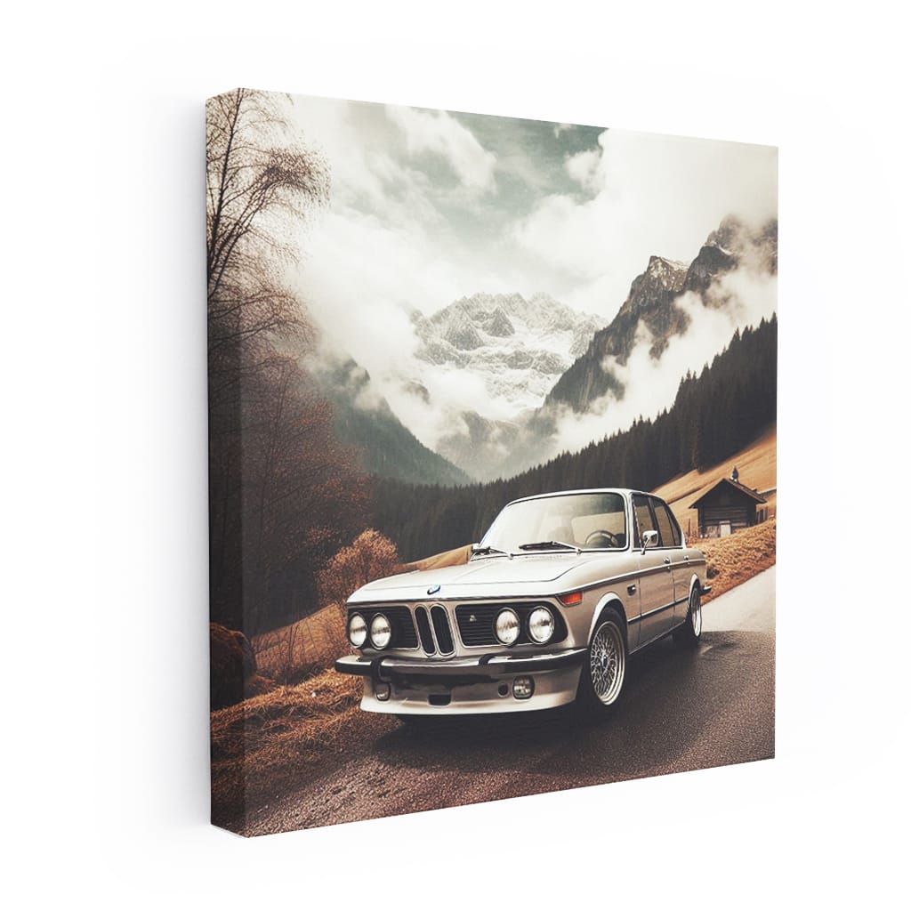 Vintage BMW in Valley - Classic Elegance and Style