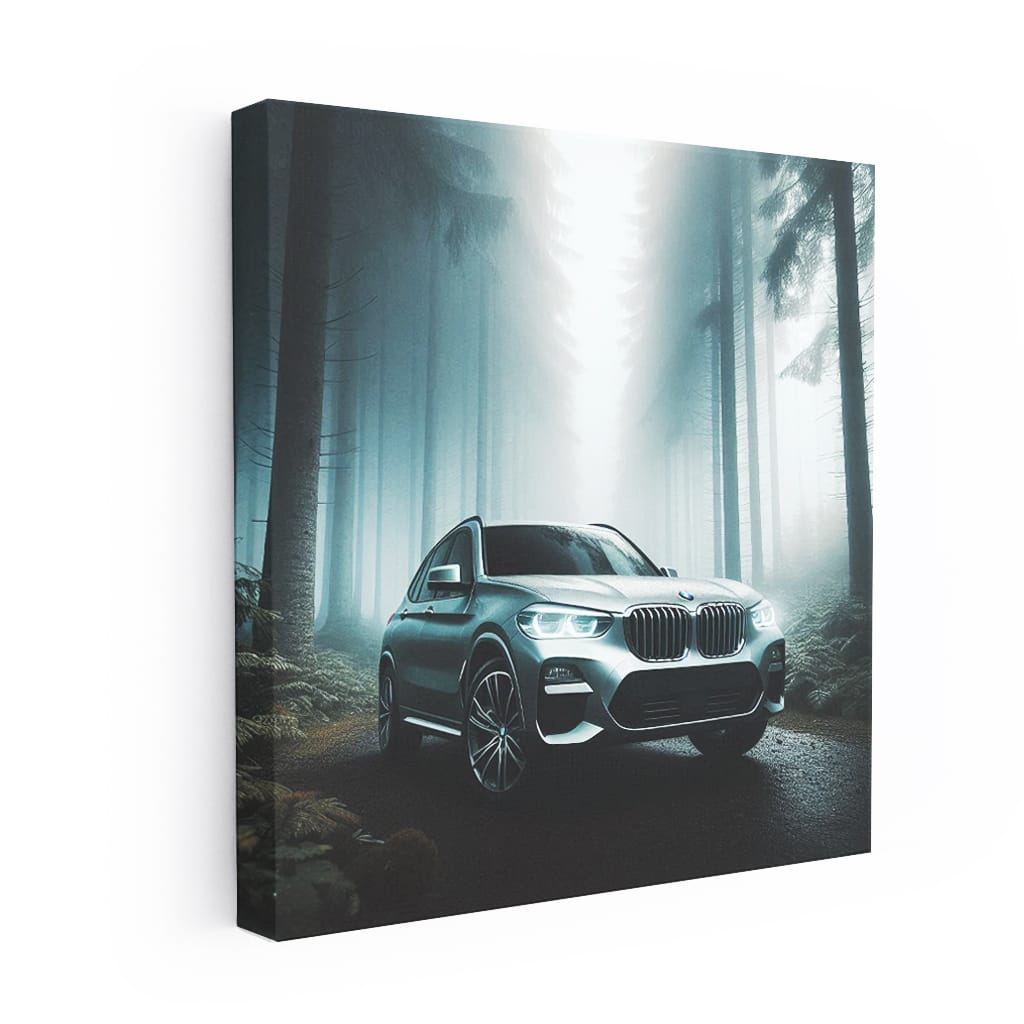 BMW X3 in Fog - Elegance Meets Power on Road