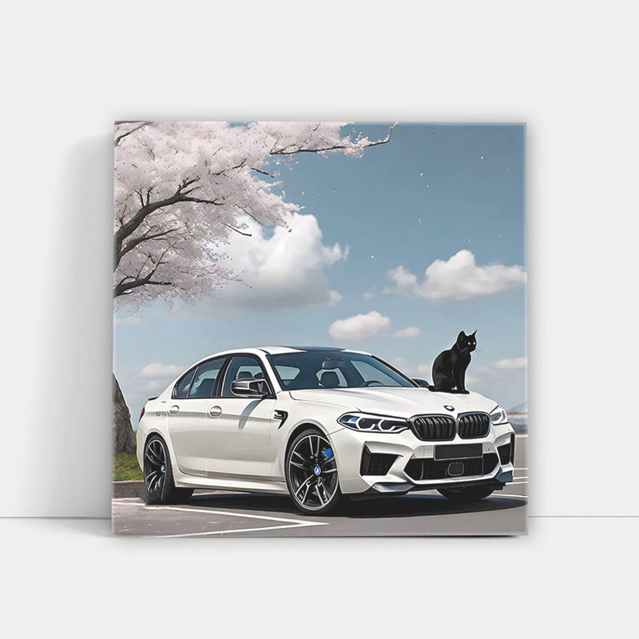 White BMW M5 with Cat - Elegance and Power Combined