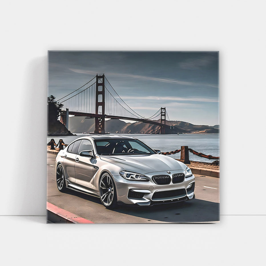 Silver BMW M6 in San Francisco, CA - Sleek and Powerful Ride
