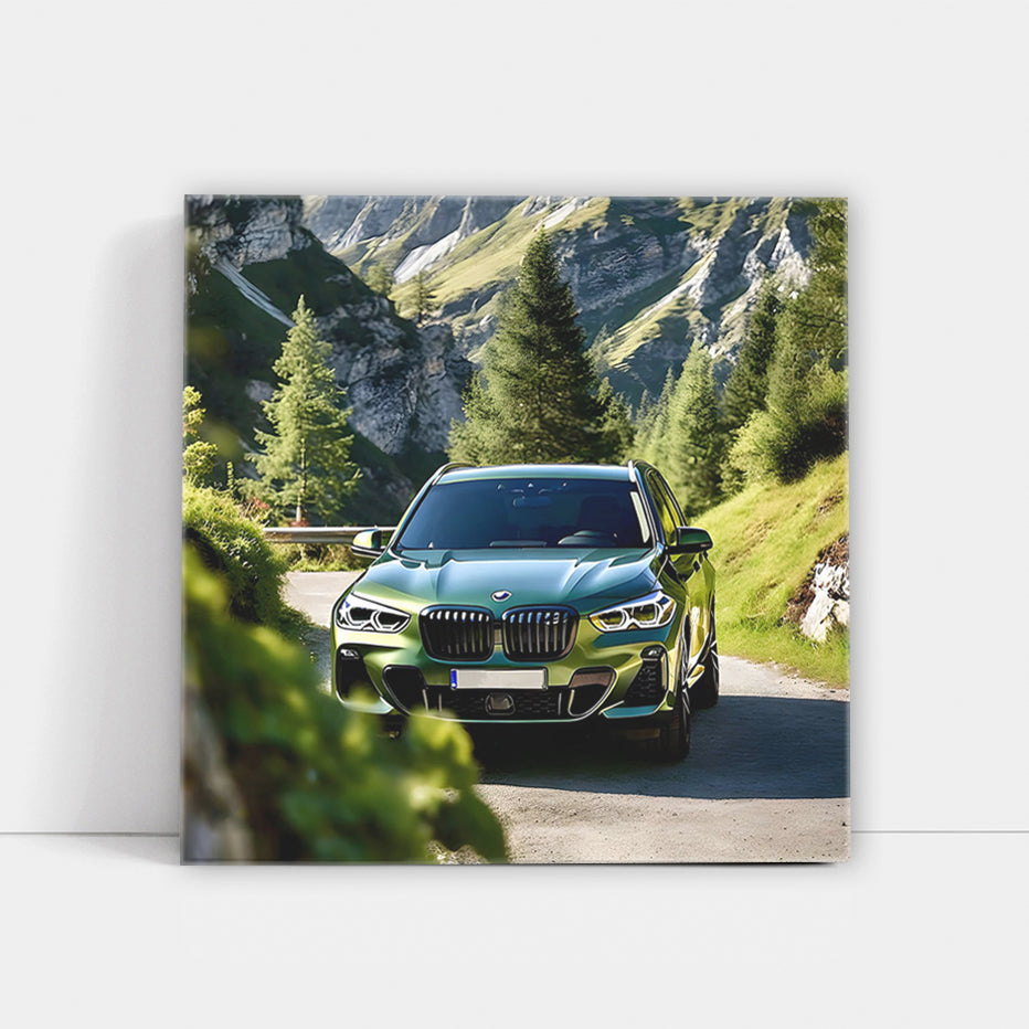 Verdant BMW X5 in Mountains - Power Meets Elegance