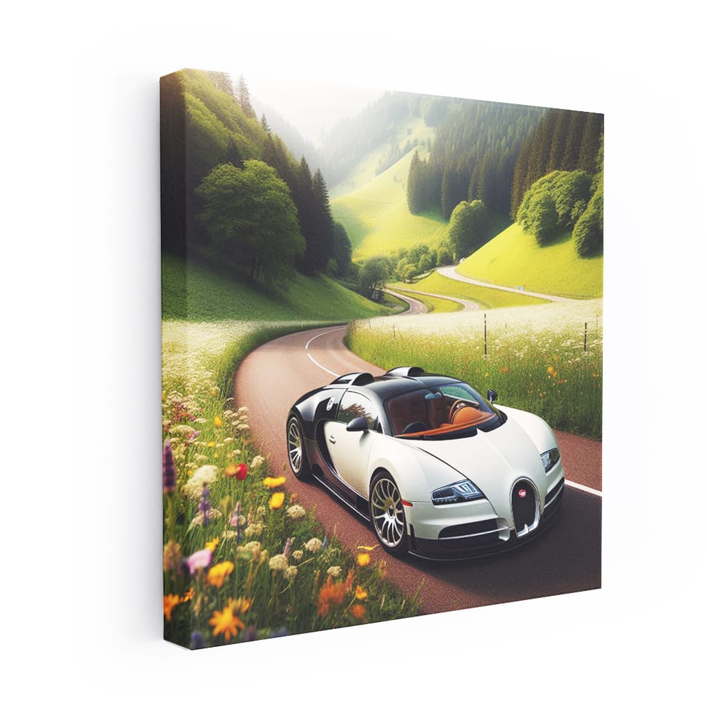 Bugatti Veyron in Valley: Power Meets Elegance