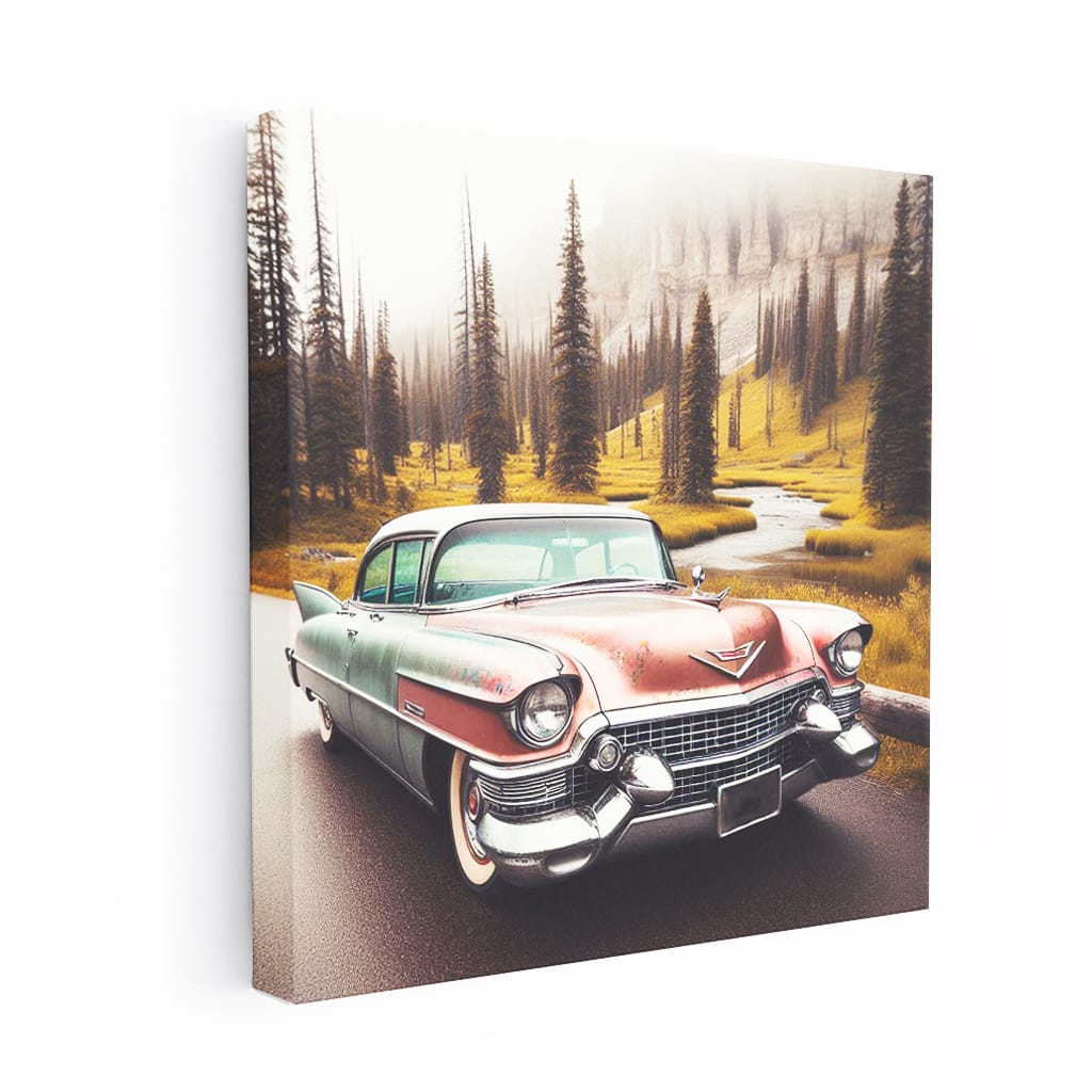 Vintage Cadillac in National Park - Timeless Classic Beauty