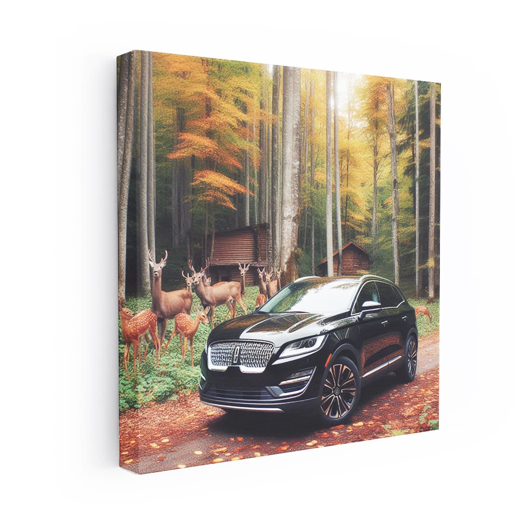 Lincoln MKC at National Park - Adventurous Elegance
