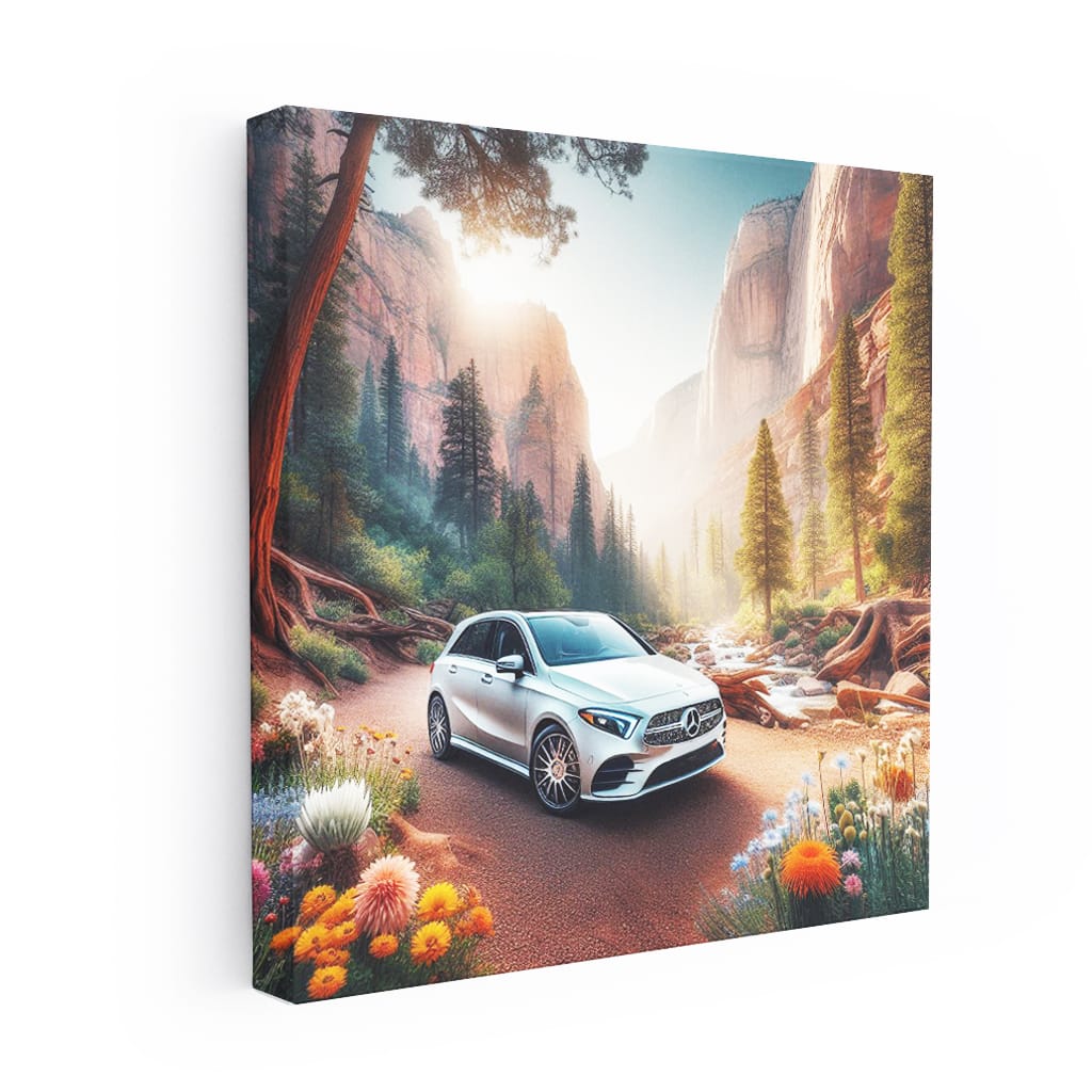 Mercedes-Benz B-Class Canyon Adventure: Style Meets Performance
