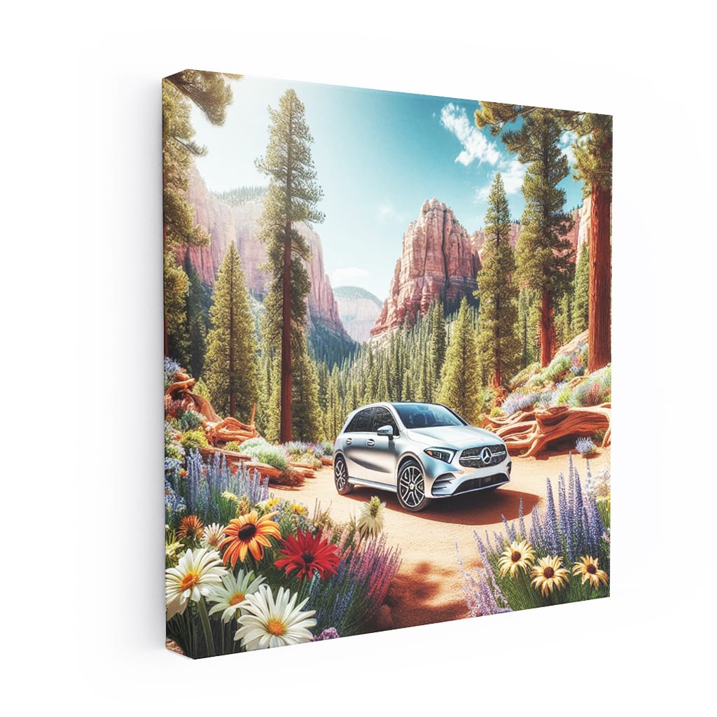 Mercedes-Benz B-Class Canyon - Stylish and Versatile Ride