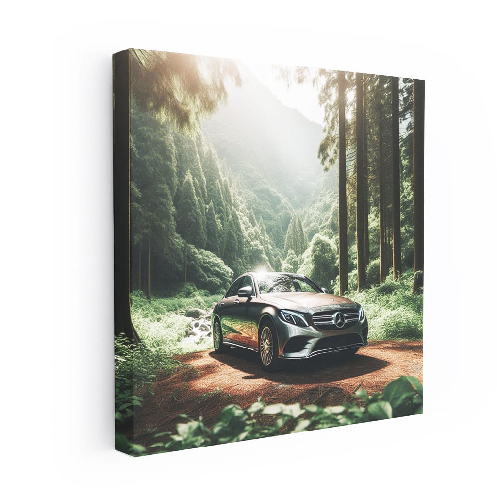 Mercedes-Benz C-Class New Valley - Elegance and Performance