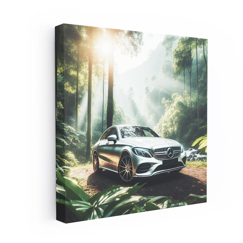 Mercedes-Benz C-Class New Valley Luxe Ride
