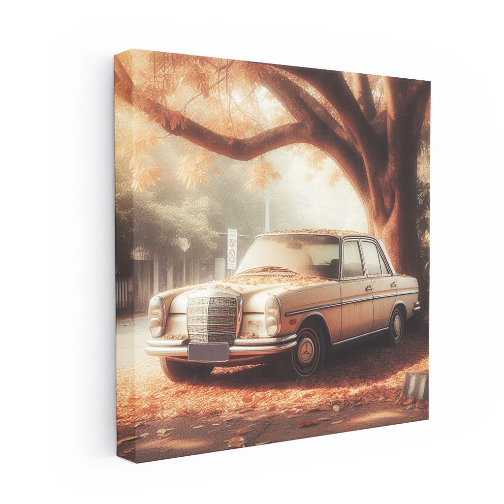 Vintage Mercedes-Benz C-Class in Classic Paint Elegance