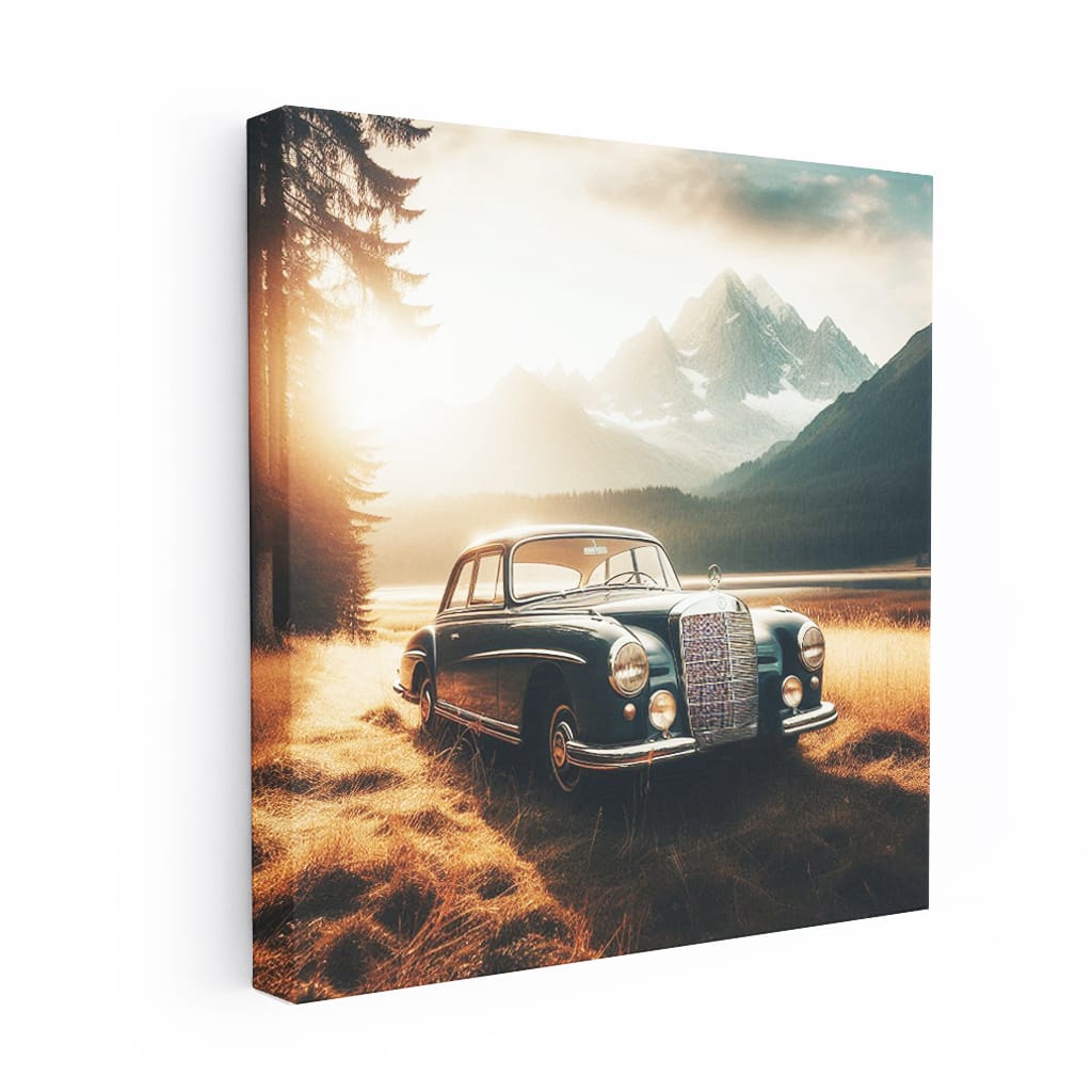 Vintage Mercedes-Benz in National Park - Classic Elegance