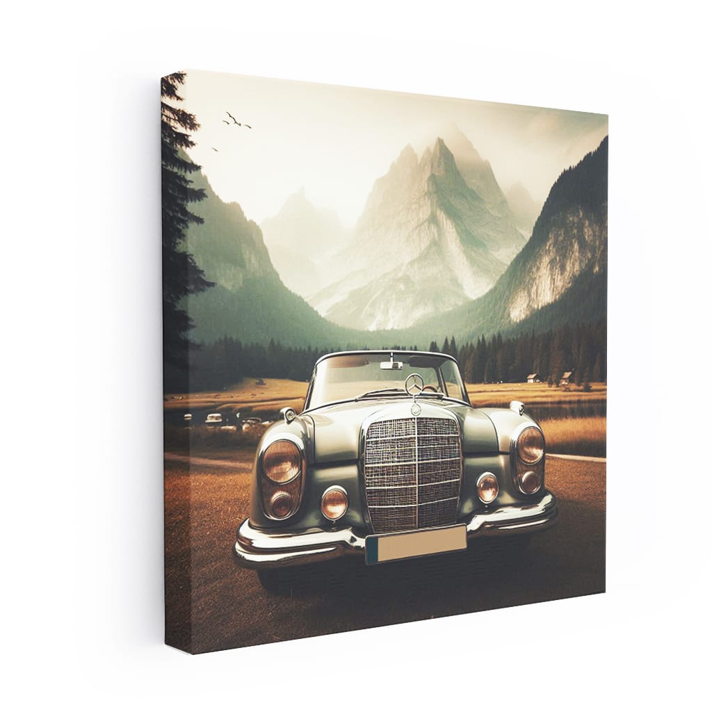 Vintage Mercedes-Benz in National Park - Classic Elegance