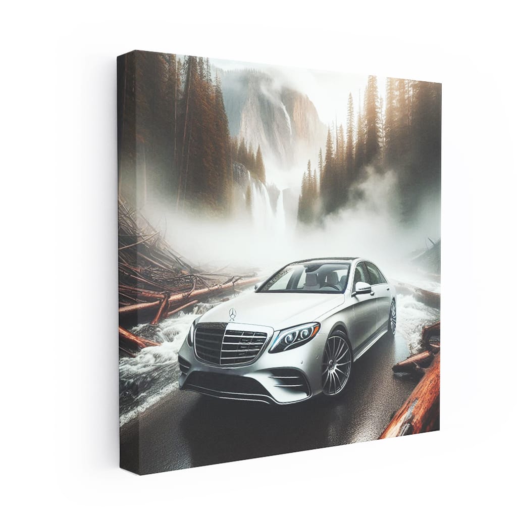 Mercedes-Benz S-Class in National Park - Luxury Redefined