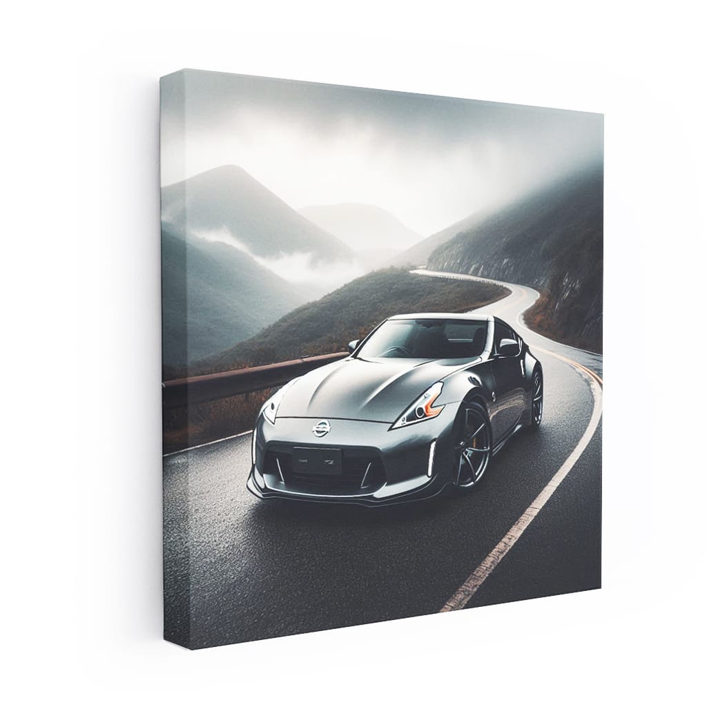 Nissan 370Z in Overcast Weather - Thrill Seeker's Ride