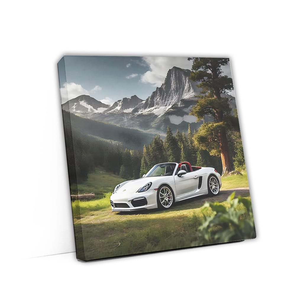 White Porsche Boxster Cruising in National Park - Pure Freedom