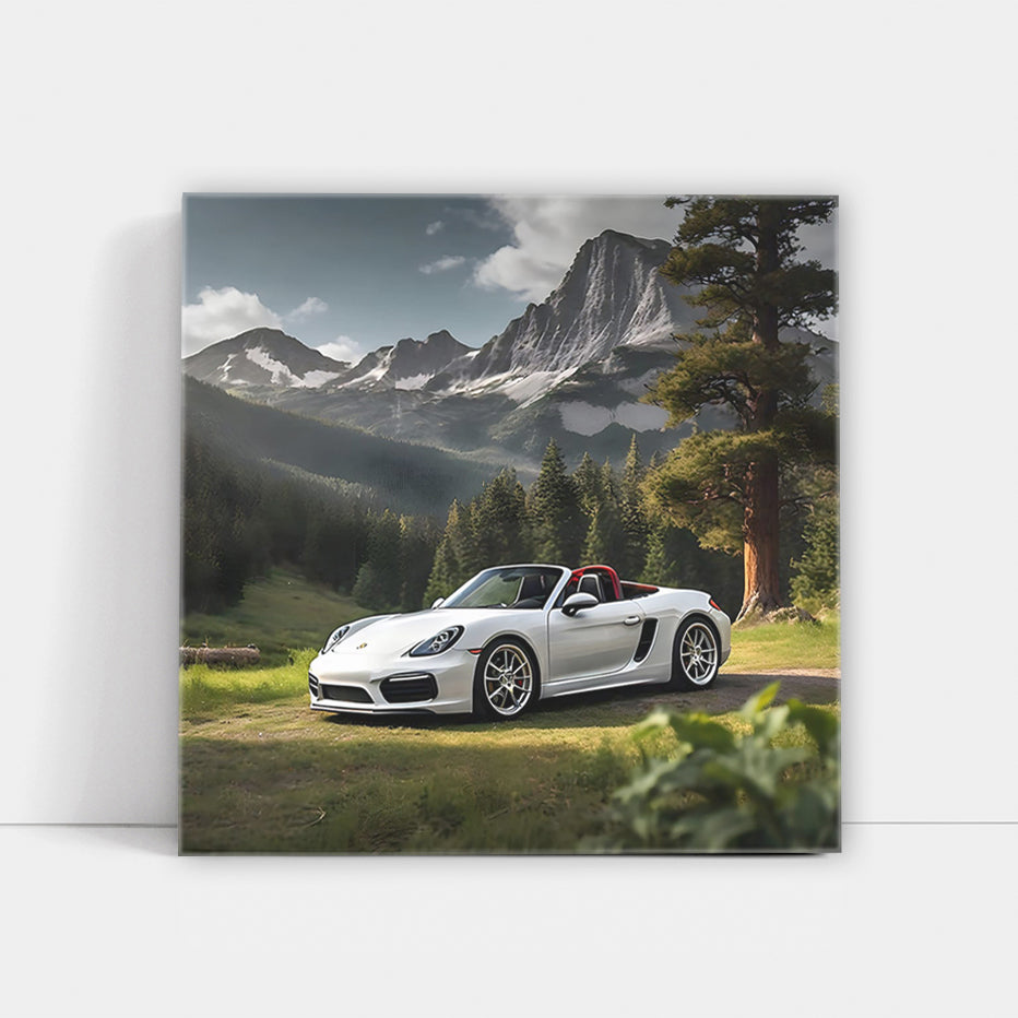 White Porsche Boxster Cruising in National Park - Pure Freedom