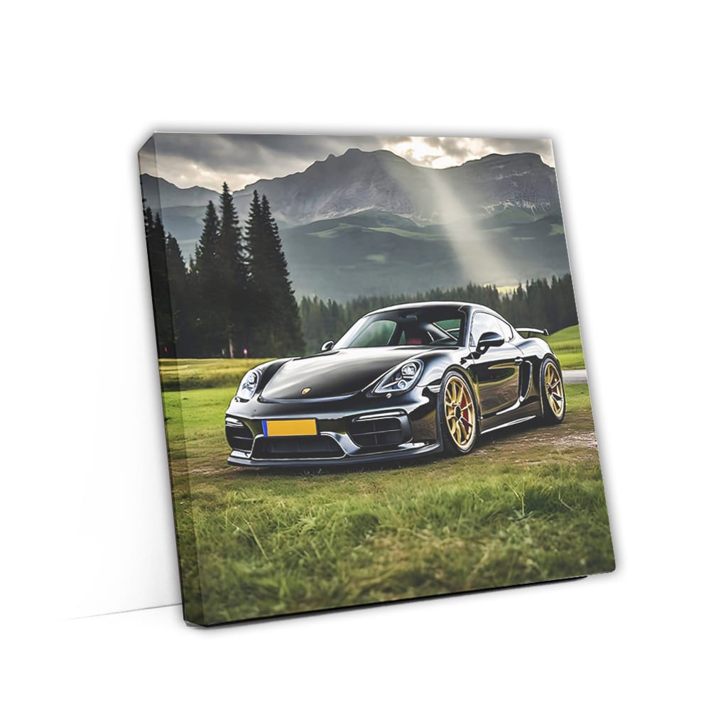 Black Porsche Cayman Roams Scenic National Park - Sporty Elegance