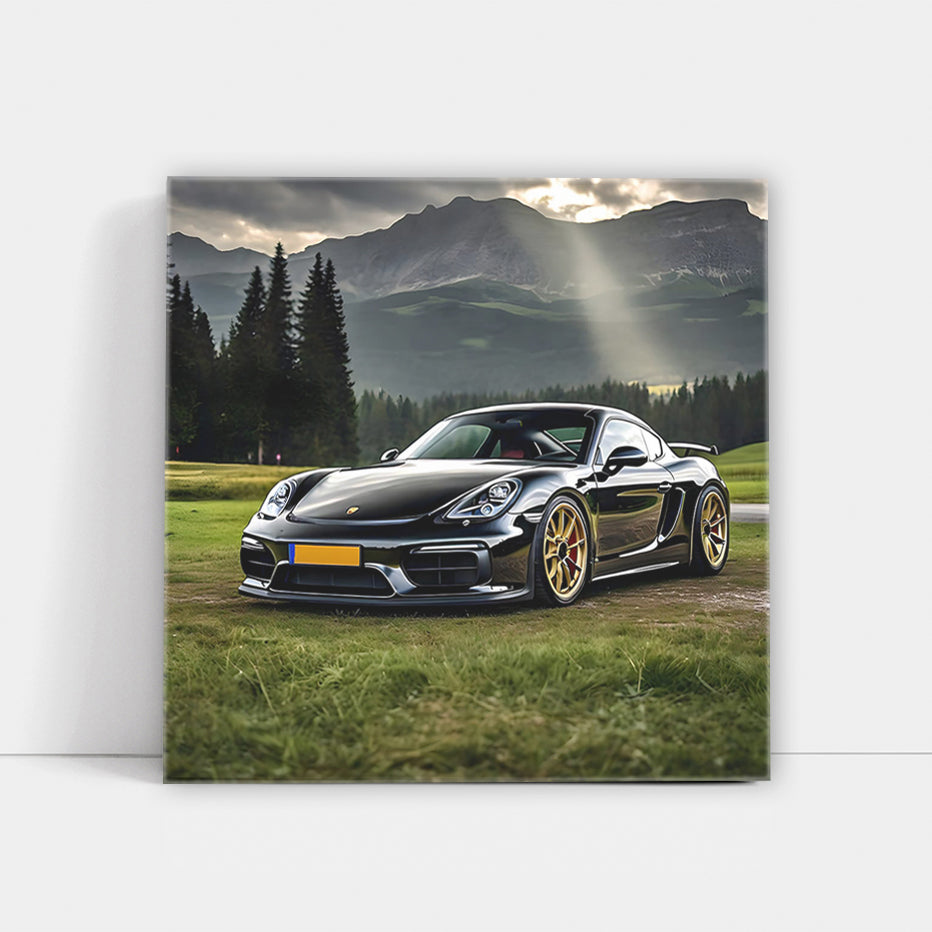 Black Porsche Cayman Roams Scenic National Park - Sporty Elegance