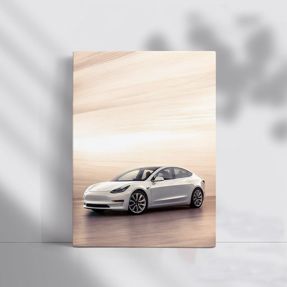 Tesla Model 3 Parked - Sleek, Innovative, Electric Drive - EnjoyStore