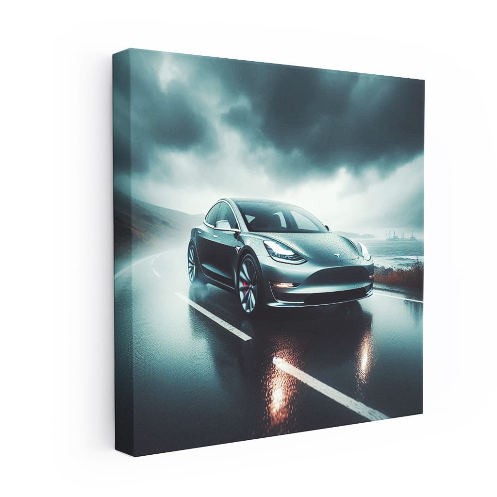 Tesla Model 3 in Cloudy Weather, New Zealand - Performance Redefined