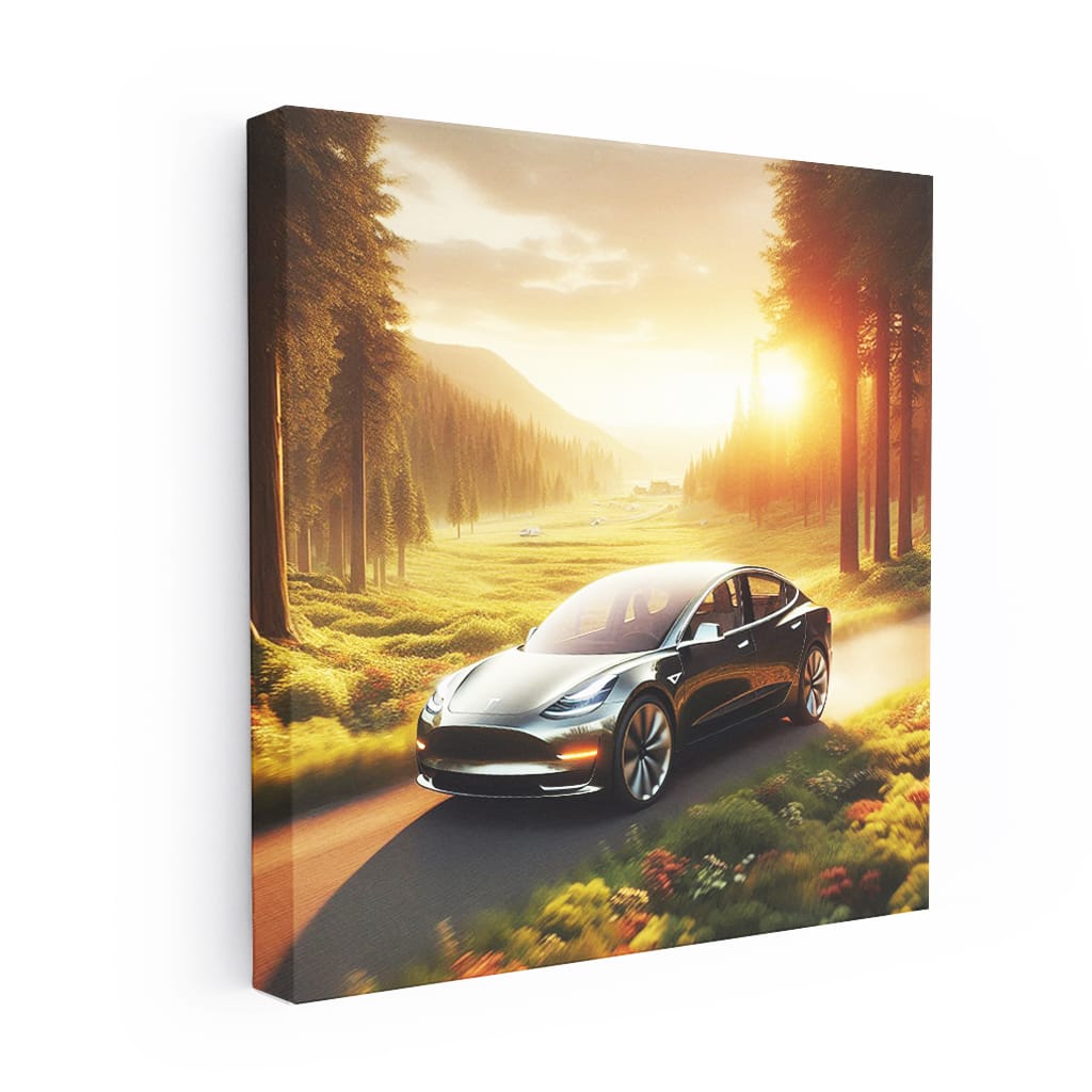 Tesla Model 3 in Valley - Efficient Elegance on Wheels