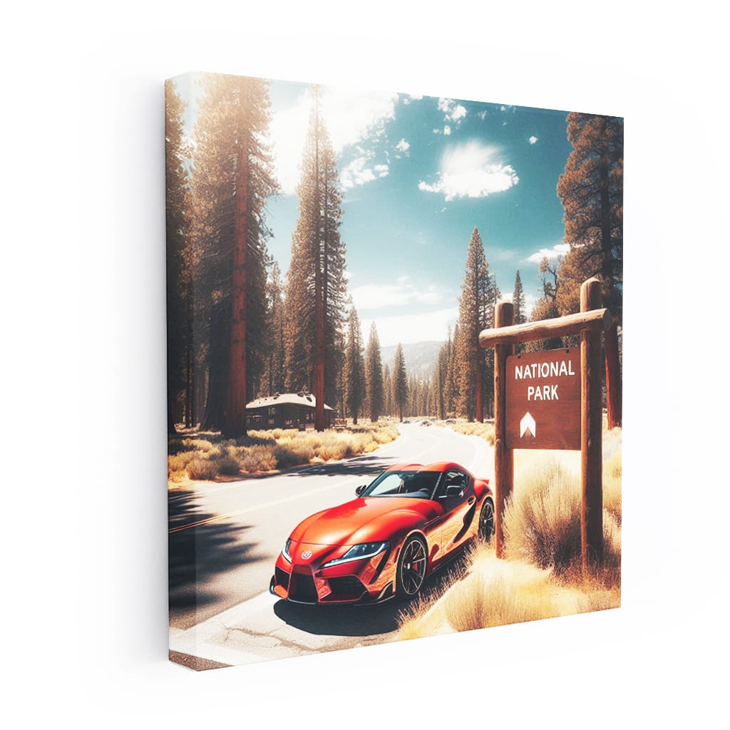 Toyota GR Supra in National Park - Thrill of Drive